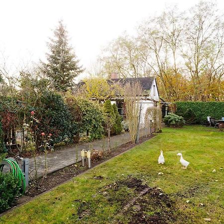 Cottage Near Centrum, Paradise Berlin Exterior foto